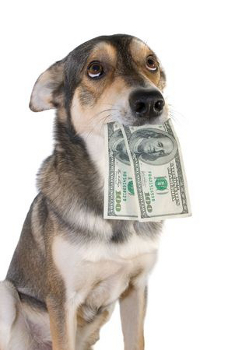 dog holding money